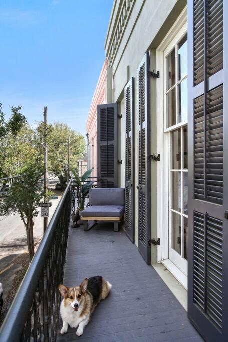 Apartment Historic Garden District 5br With Parking And Balcony New Orleans