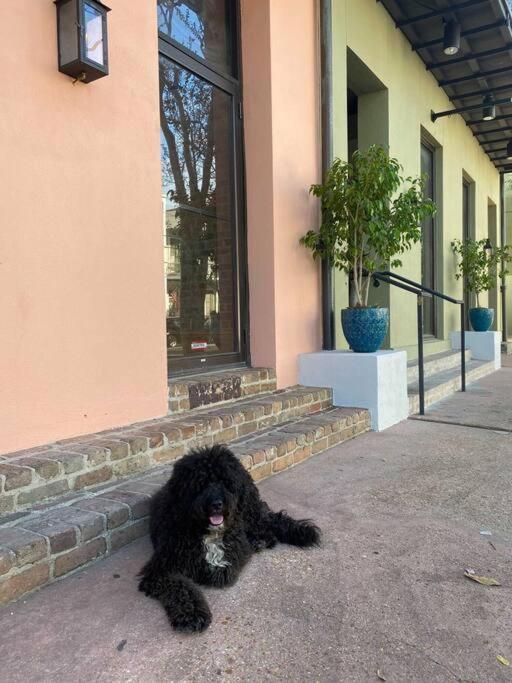 Historic Garden District 5br With Parking And Balcony Apartment *